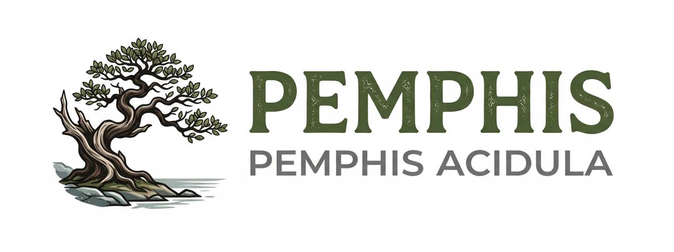 Pemphis